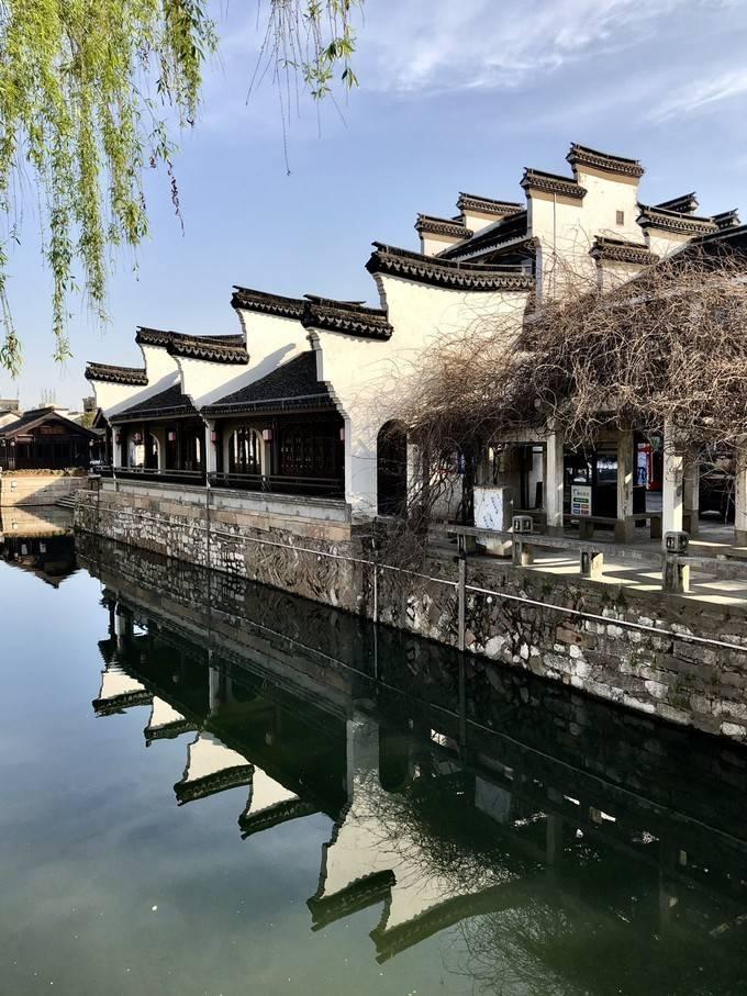 逗小猴开心系列204