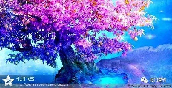 记者谈津门虎引援:个人感觉阿齐兹差不多了 第五外援没深入谈的